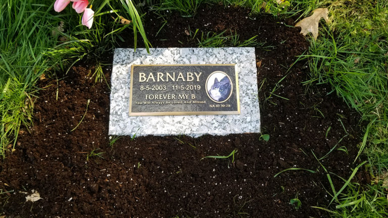 Barnaby Bronze