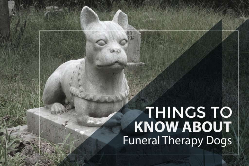 Everything you want to know about the therapy dogs at funerals