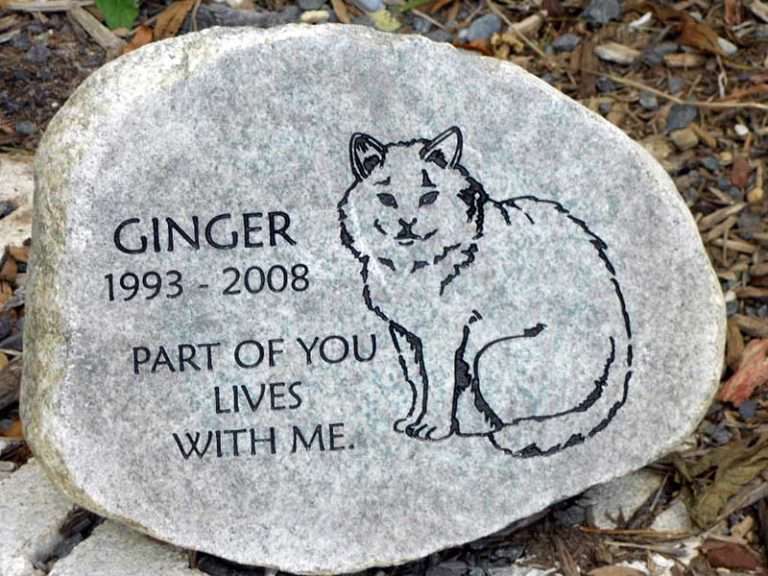 Grizzie Pet Memorial