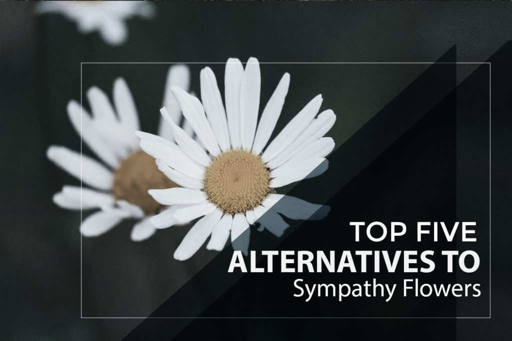 Top Five Alternatives to Sympathy Flowers