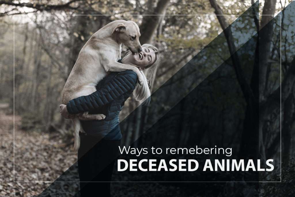 Pet Memorials: Ways to Remembering Deceased Pet Animals
